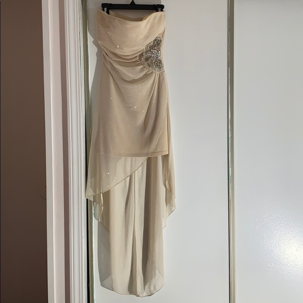Sparkly Nude Tight Strapless Dress